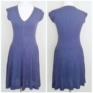 Max Studio Blue Knit Dress